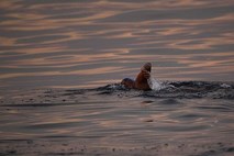 61-letnica je zaradi vremena in zdravstvenih težav opustila poskus plavanja od Kube do Floride