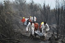 Pri gašenju gozdnega požara na jugu Čila umrlo več gasilcev