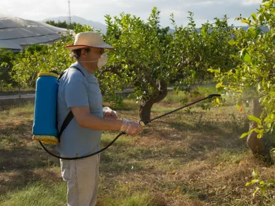 Škropljenje drevja s pesticidi