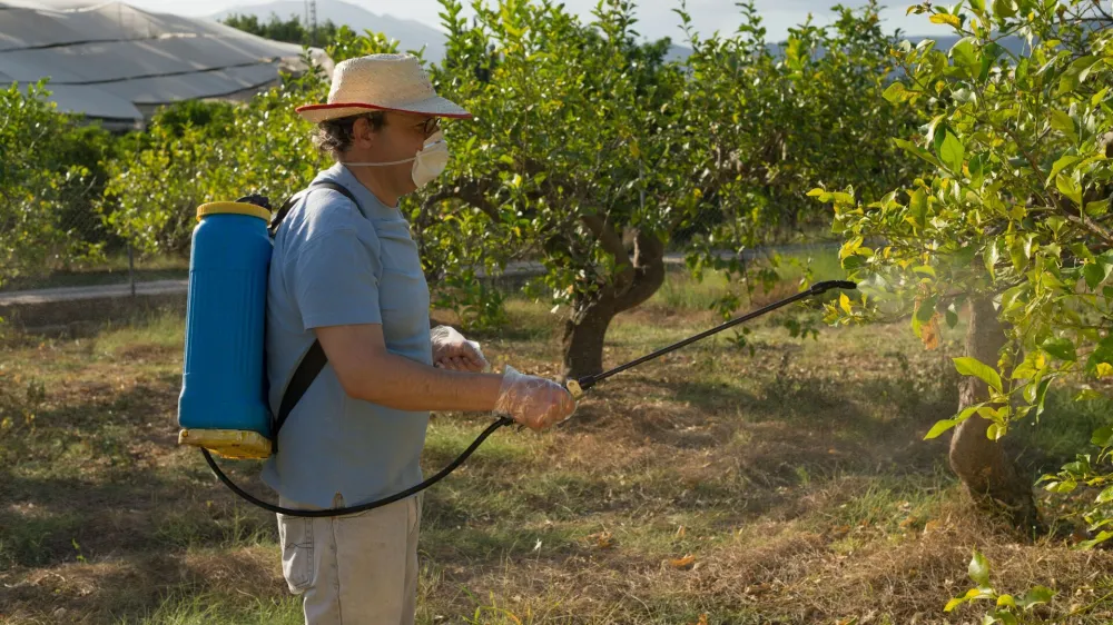 Škropljenje drevja s pesticidi