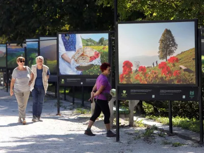 06.09.2023 - Jakopičevo sprehajališče, Tivoli, razstava Cvetje v jeseniFoto: Tomaž Skale