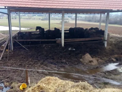 Policisti so na terenu zaznali sum kaznivih dejanj zoper okolje, prostor in naravne dobrine.&nbsp;