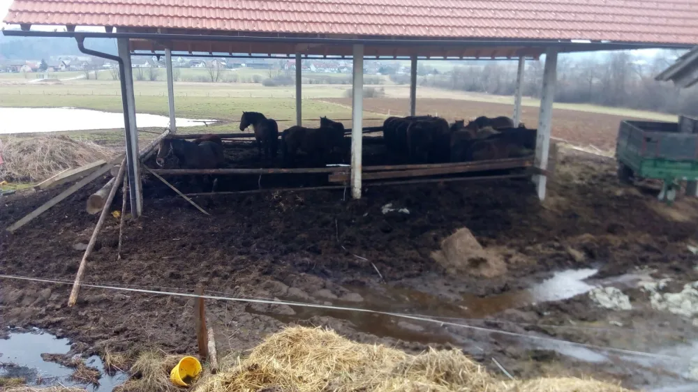 Policisti so na terenu zaznali sum kaznivih dejanj zoper okolje, prostor in naravne dobrine.&nbsp;