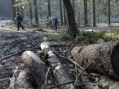 - pobočje Mostec - sprehajalci- 31.10.2014 - akcija Obnovimo slovenske gozdove - pogozdovanje ljubljanskih gozdov - obnova v ledolomu pokodovanih gozdov - vseslovenska sadnja - gozdarstvo - gozdovi - gozd - drevesa - drevo - sanacija - ledolom    //FOTO: Luka Cjuha.