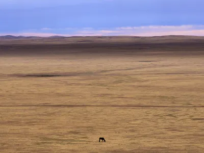 A lone horse grazes in the Munkh-Khaan region of the Sukhbaatar district, in southeast Mongolia, Saturday, May 13, 2023. Chronic drought plagues Mongolia. So does warming. Since 1940, the country's government says, average temperatures have risen 2.2 degrees Celsius (nearly 4 degrees Fahrenheit) — a measure that may seem small, but for global averages, scientists say every tenth of a degree matters, and a warming world brings more weather extremes. (AP Photo/Manish Swarup)