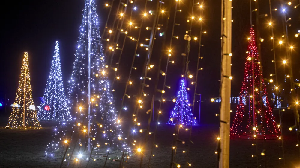 čestitka božič - novo leto- 19.12.2023 – Arboretum volčji potok - praznične lučke veseli december//FOTO: Luka Cjuha