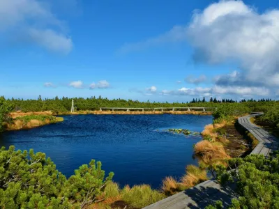 Beautiful blue colored lake at Lovrenska jezera with dry grass on the bank and surrounde by mugo pine with a wooden pathyway leading past at Pohorje in Stajerska, Slovenia / Foto: Kato08