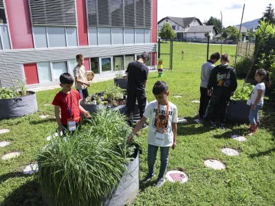 - 04.06.2024 - OŠ Kašelj  //FOTO: Jaka Gasar