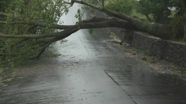 BRISBANE, AUSTRALIA - JANUARY 27: Trees fallen across road during tropical cyclone Oswald on January 27, 2013 in Brisbane, Australia