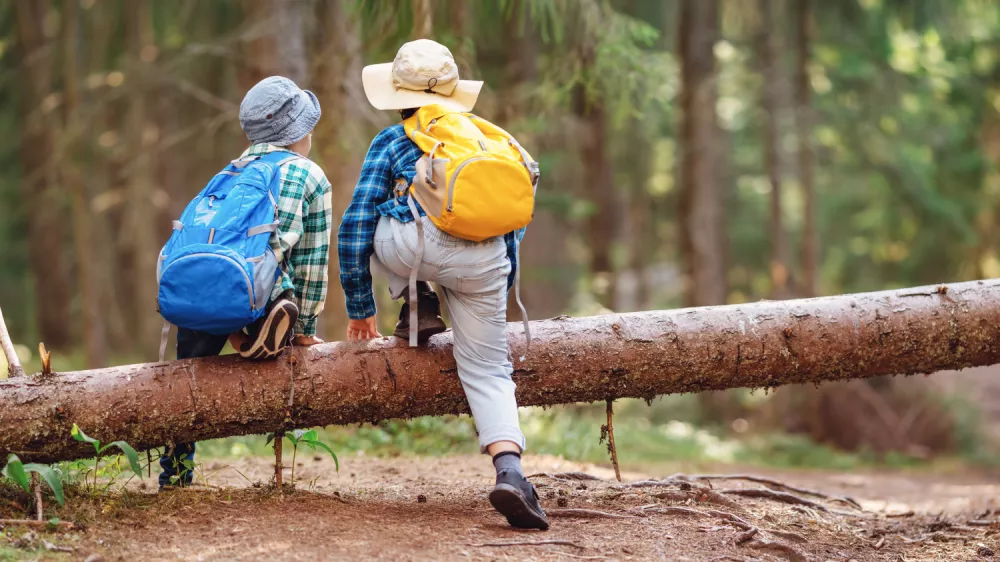 Two boys climbing over a fallen tree in the forest. Concept of the family vacation and tourism. / Foto: Lemanna