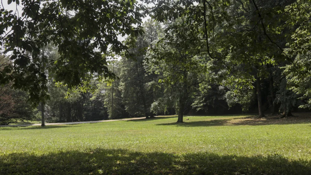 - 28.06.2022 – Park Tivoli v Ljubljani - Plečnikovo letno gledališče - rekonstrukcija Plečnikovega avditorija v ljubljanskem parku Tivoli - gradbišče //FOTO: Jaka Gasar