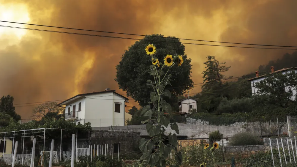 Kras - Brestovica pri Komnu - prizorišče požara in leto dni kasneje //FOTO: Jaka Gasar