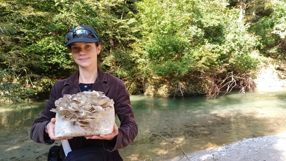 Katarina Grabnar Apostolides verjame v zdravilno moč gob, o čemer pripoveduje v priročniškem vodniku po gobjem svetu Zadnja vijoličasta bledivka (Beletrina), katerega rdeča nit je njena osebna zgodba.