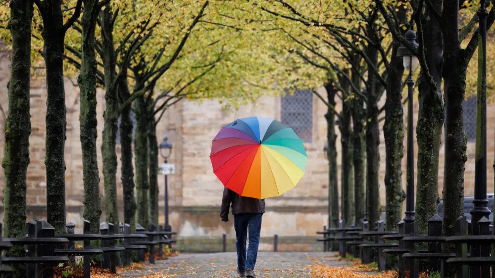 20 October 2023, Lower Saxony, Osnabrück: A man walks with a rainbow-colored umbrella through an avenue of trees bearing autumn leaves. Photo: Friso Gentsch/dpa