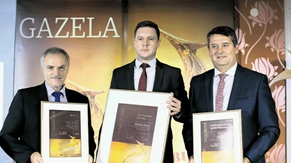 Lanski nominiranci za regijsko gazelo: KGL, direktor Bojan Železnik (levo), GKN Driveline Slovenija, direktor Peter Smole (na sredini), in Veterinarska postaja Š marje pri Jelšah, direktor Tomi Rumpf (desno) (Foto: Bojan Velikonja)