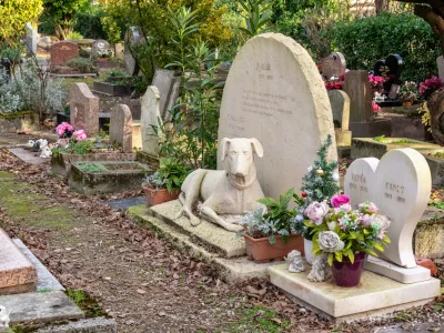 Graves in the pet cemetery of Paris F iStock