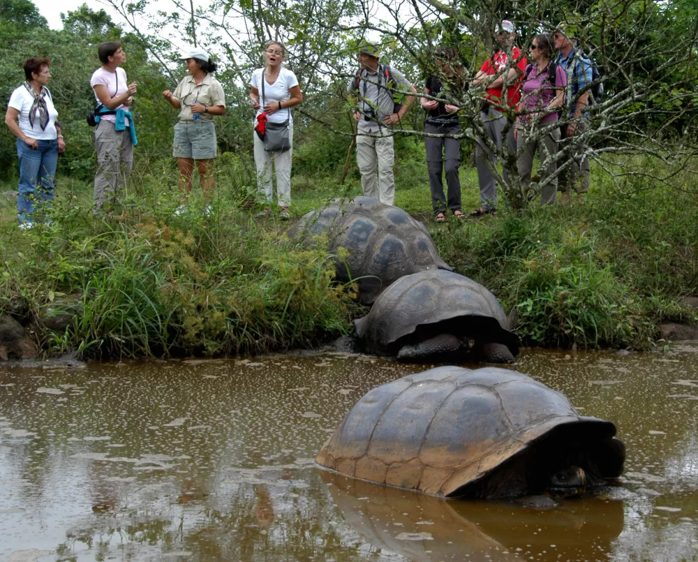 Ekvador - Galapagos - četrto nadaljevanje - želve velikanke//FOTO: Nace BiziljOPOMBA: ZA OBJAVO V ČASOPISU NEDELJSKI DNEVNIK