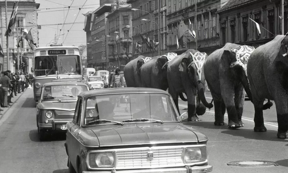 ﻿XND Mimohod slonov cirkusa Moira Orfei (420 let potem, ko je Maksimilijan s slonom počival na mestu današnjega hotela Slon…). leta 1972 (med marcem in majem).