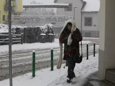 19.01.2024 sneženje v ljubljani - snegFoto: Luka Cjuha