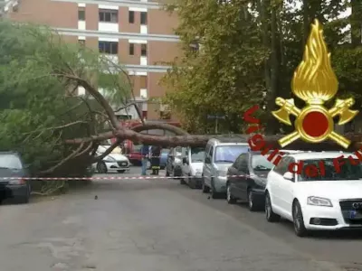 Drevo je pod seboj pokopalo ženko, še ena je ranjena. Foto: VDF