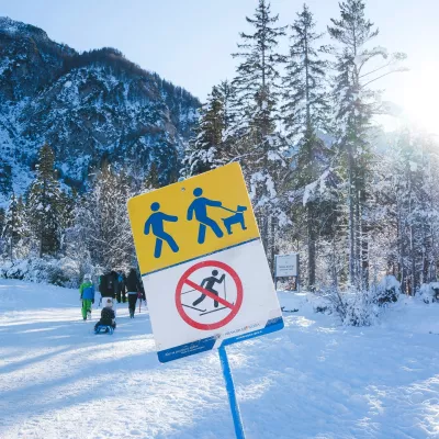 Pešcem je namenjena leva pot v Tamar, desna je rezervirana za tekače in turne smučarje. Foto: NC Planica