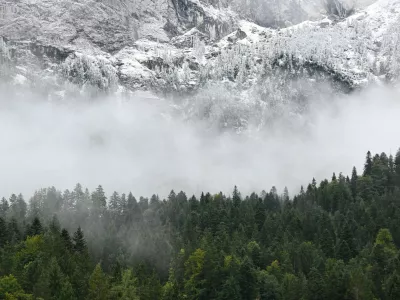 A view of fresh snow above a mountain forest near the summit of the Zugspitze near Garmisch-Partenkirchen, Germany, September 12, 2024. REUTERS/Angelika Warmuth   TPX IMAGES OF THE DAY