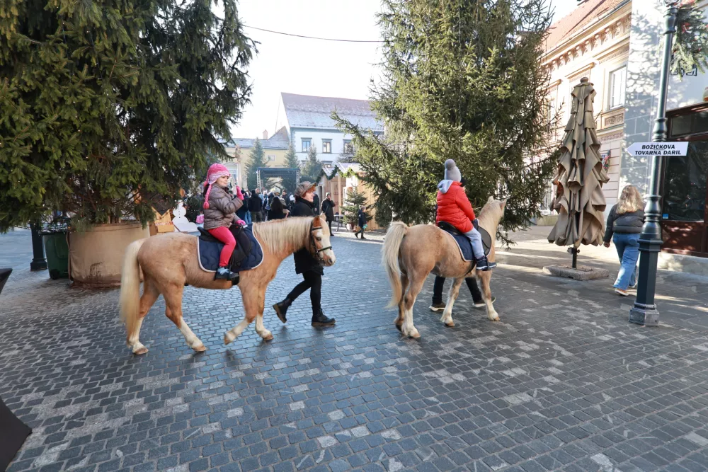 Pravljična dežela v Celju. Foto: Gregor Katič