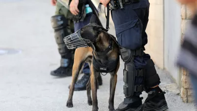 09.07.2024., Pula: Nemali broj interventnih policajaca, blokiran kvart, odvjetnici i rijetki stanari pulske poslovno-stambene zgrade popularne "Porecanke", obiljezili su ovo vruce pulsko jutro. Photo: Sasa Miljevic / PIXSELL/PIXSELL