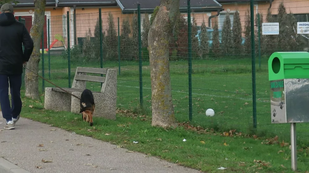 Tudi v nekaterih romskih naseljih (fotografija je s Pušče pri Murski Soboti) so lastniki psov odgovorni. Vodijo jih na povodcu, njihove iztrebke pa odlagajo v posebej za to nameščene koše. Foto: Tatjana Pihlar