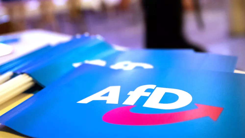 FILED - 24 November 2018, Bavaria, Greding: The far-right Alternative for Germany (AfD) flag placed on a table. The AfD party sent "deportation tickets" for "illegal immigrants" to mailboxes around the city of Karlsruhe, a local AfD official confirmed to dpa on 14 January. Photo: Daniel Karmann/dpa