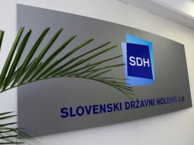 - simbolična fotografija - Slovenski dravni holding (SDH) //FOTO: Toma Skale