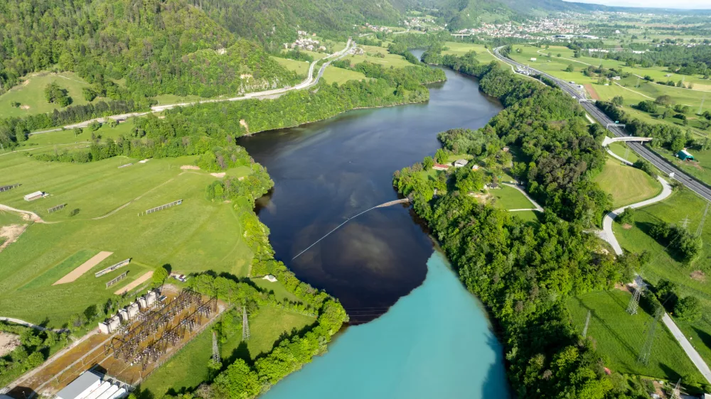 Cvetenje alg reka Sava, Žirovnica