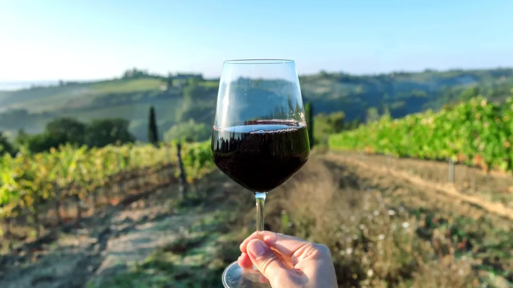 Wine glass over beautiful landscape of Tuscany, with green valley of grapes and hills around. Wine beverage tasting in Italy during harvest.