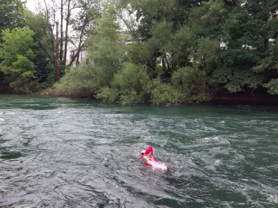 Po 26. letih je Martin Strel ponovno zaplaval v Ljubljanici. F Vesna Levičnik