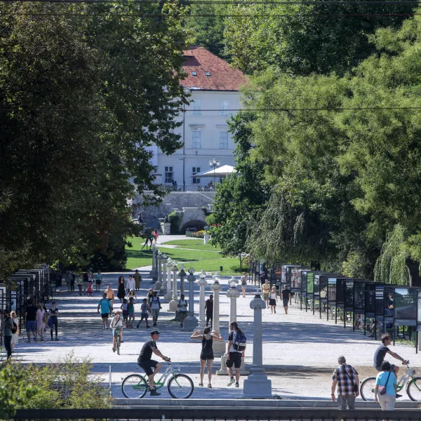 ﻿- 13.08.2017 - Jakopičev drevored, Jakopičevo sprehajališče, park Tivoli  //FOTO: Jaka Gasar