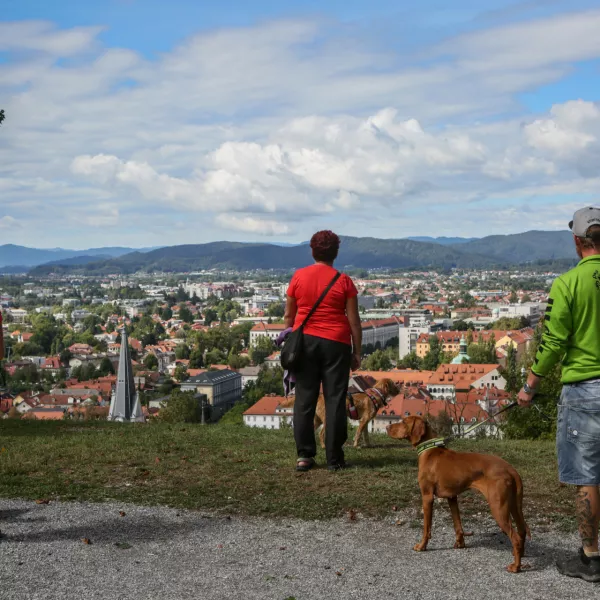 ﻿panorama Ljubljana - panoramska fotografija - pes -  - 02.09.2017 – Jesenska fotografija - jesen - vreme //FOTO: Luka Cjuha.