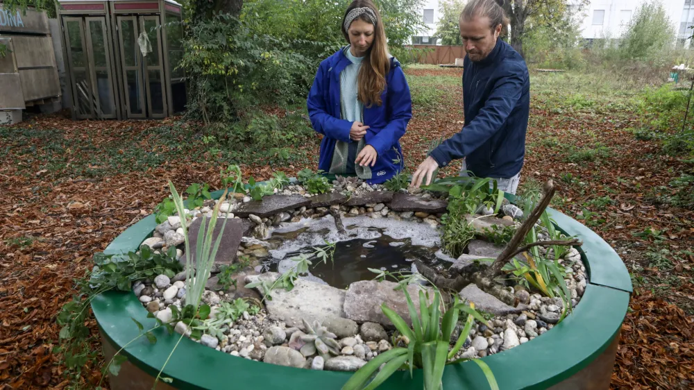 30.09.2020Gaja Menarić OsoleVeterinar Peter MaričićRibnik elja.KRATER, USTVARJALNI LABORATORIJ V GRADBENI JAMI Gradbena jama Beigrajski dvorFOTO: Luka Cjuha