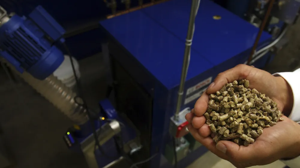 Les Otten holds a handful of wood pellets next to his new wood pellet burning furnace at his home in Greenwood, Maine, on Thursday, June 19, 2008.. Pellets are made out of compacted sawdust, wood chips or other wood material and look something like rabbit food. And instead of heating oil deliveries, trucks will deliver pellets, which are pumped into a bin in his basement that can hold 4 tons. They are then carried automatically from the bin to the furnace, where they are burned to heat water that is used to heat the house. (AP Photo/Pat Wellenbach)