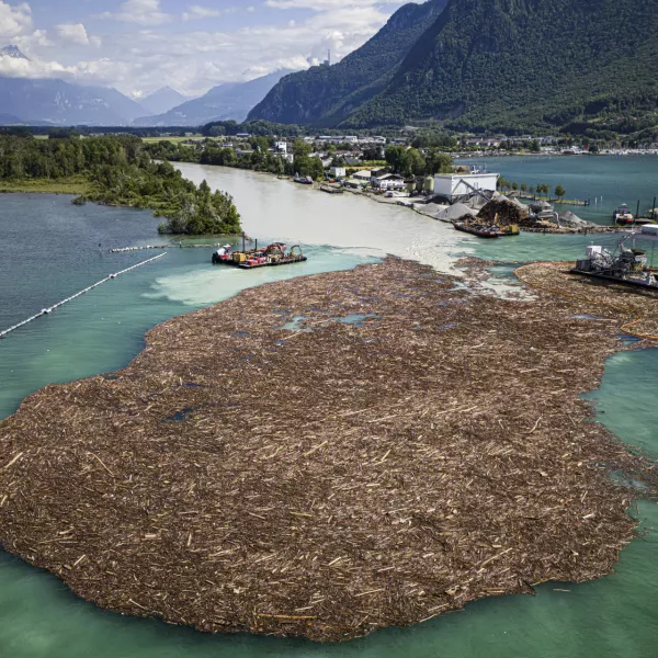 Excavators on barges collect and sort an estimated 7,000 to 9,000 cubic meters of wood at the mouth of the Rhone river on Lake Geneva in le Bouveret, Switzerland, Monday, June 24, 2024. Heavy and unusually intense rainfalls over the last days in the canton of Valais have produced numerous floods and landslides with a large volume of floating wood carried along the Rhone river to Lake Geneva. (Valentin Flauraud/Keystone via AP)