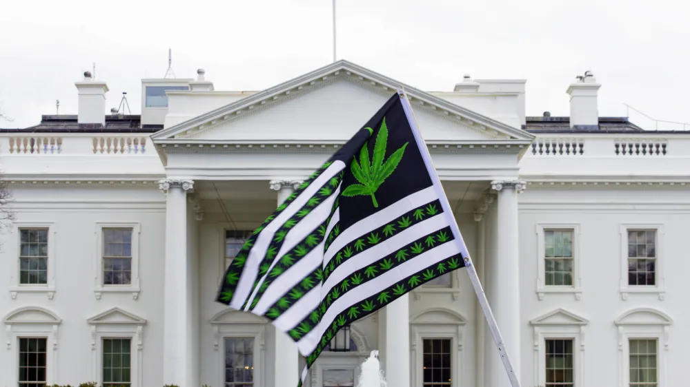 FILE - A demonstrator waves a flag with marijuana leaves depicted on it during a protest calling for the legalization of marijuana, outside of the White House on April 2, 2016, in Washington. President Joe Biden is pardoning thousands of Americans convicted of "simple possession" of marijuana under federal law, as his administration takes a dramatic step toward decriminalizing the drug and addressing charging practices that disproportionately impact people of color. (AP Photo/Jose Luis Magana, File)