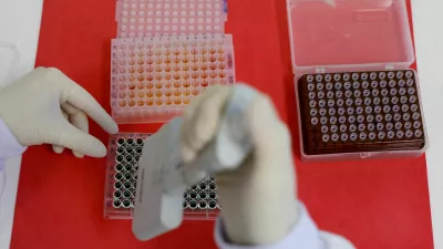 FILE PHOTO: An employee dilutes poultry serum samples for ELISA test for the detection of antibodies to the avian influenza virus at the Reference Laboratory of the World Organization for Animal Health in Campinas, Brazil April 25, 2023. REUTERS/Amanda Perobelli/File Photo