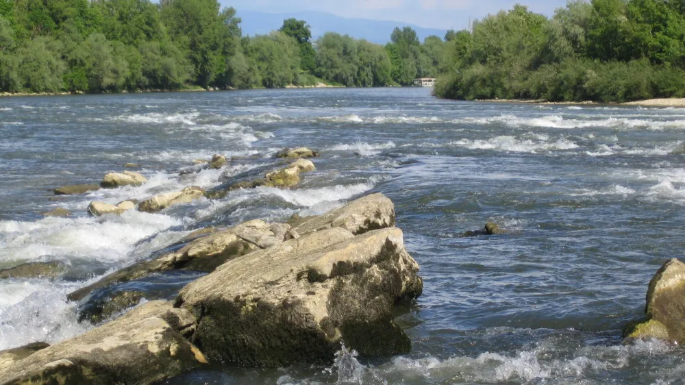 Še neokrnjena reka Sava pri Brežicah Foto: Ernest Sečen