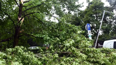 01.07.2024.,Sisak - Vjetar potrgao grane drveta na Trgu hrvatskih branitelja. Photo: Nikola Cutuk/PIXSELL