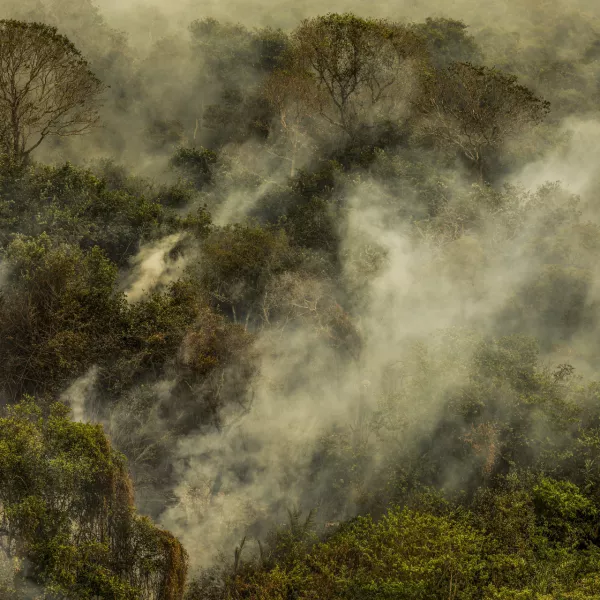 30 June 2024, Brazil, Corumba: Smoke rises from a forest during a fire in the Pantanal wetland. Photo: Marcelo Camargo/Agencia Brazil/dpa - ACHTUNG: Nur zur redaktionellen Verwendung und nur mit vollständiger Nennung des vorstehenden Credits