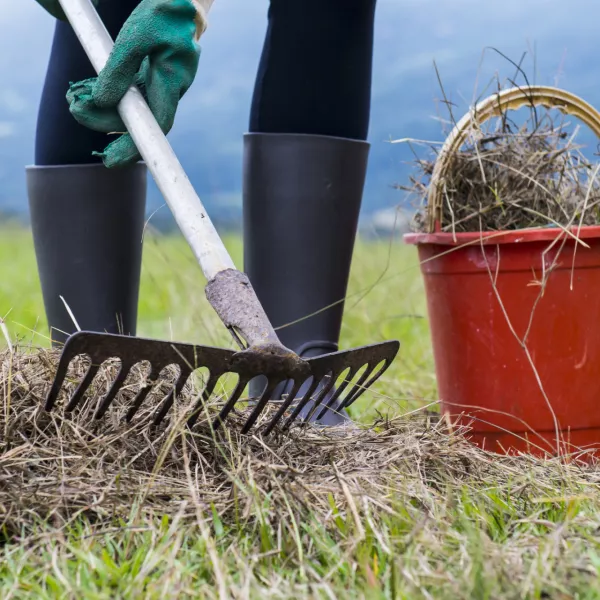 ﻿Cleaning and preparing the land