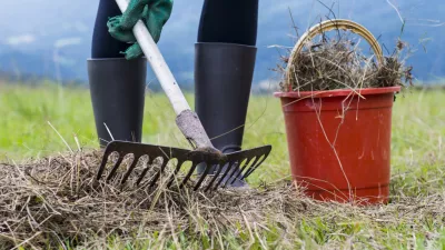 ﻿Cleaning and preparing the land