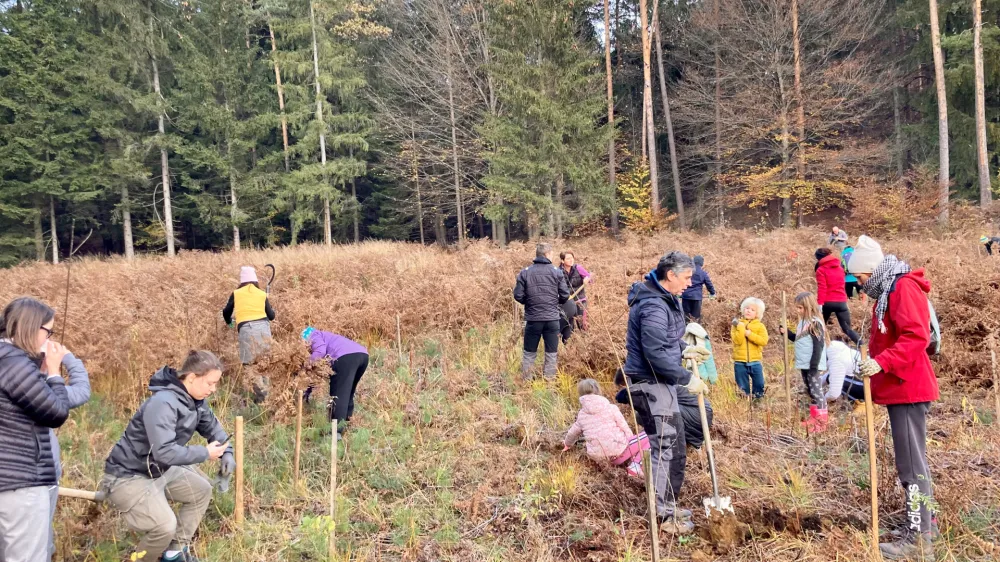 Na območju Prevojskih ribnikov, in sicer ob robu Prevojskih gmajn, je konec novembra več kot štirideset prostovoljcev sadilo drevesa. Foto: arhiv Močvirnice