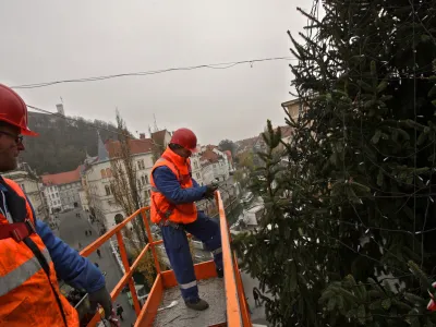 - za okrasitev smreke porabijo približno 7 km vrvnih lučk <br><br><br>- smreka, namenjena decembrskemu in novoletnemu okrasu - novoletna jelka - Prešernov trg     //FOTO: Luka Cjuha