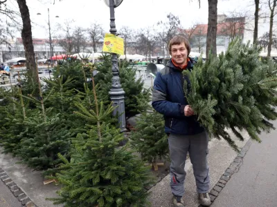 - 20.12.2022 - prodaja naravnih smrečic na ljubljanski tržnici - smrekce - božično novoletne jelke - drevesca//FOTO: Tomaž Skale