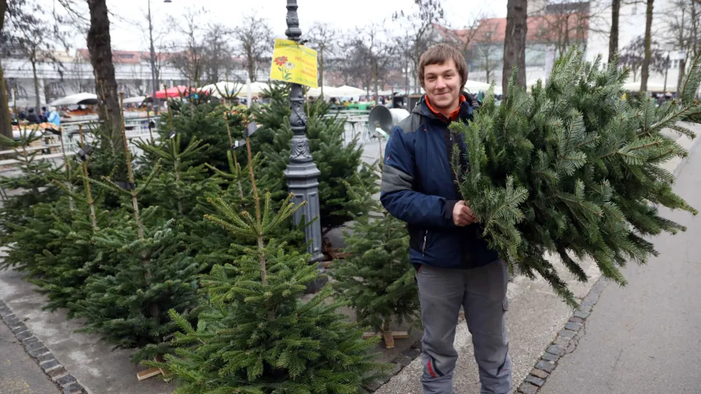 - 20.12.2022 - prodaja naravnih smrečic na ljubljanski tržnici - smrekce - božično novoletne jelke - drevesca//FOTO: Tomaž Skale